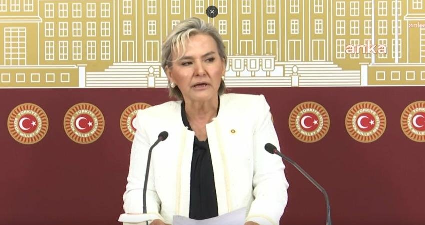 İYİ Parti İstanbul Milletvekili Nimet Özdemir partiden istifa ettiğini bildirdi.