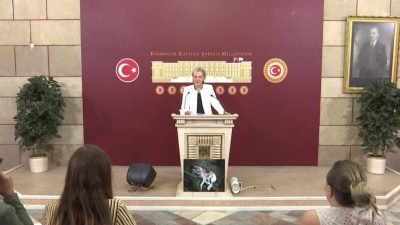 İYİ Parti İstanbul Milletvekili Nimet Özdemir, TBMM'de yaptığı basın açıklamasında