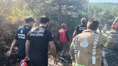 Kartal Belediyesi ekipleri, dün öğle saatlerinde Pendik-Aydos Ormanı’nda henüz belirlenemeyen