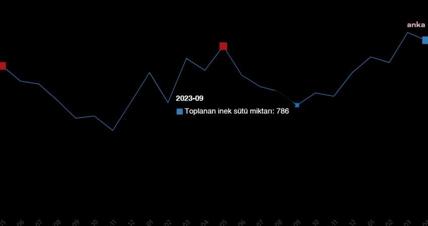 TÜİK verilerine göre, mayıs ayında tavuk eti üretimi 216 bin