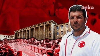 Milli yüzücü Alper Sunaçoğlu, sokak hayvanlarına ötanazi yolunu açan teklifini