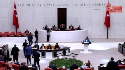 CHP İzmir Milletvekili Sevda Erdan Kılıç, TBMM Genel Kurulu'nda; "Roman