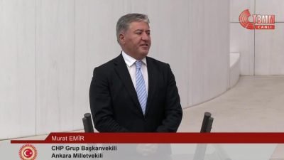 CHP Ankara Milletvekili Murat Emir, TBMM Genel Kurulu'ndaki sokak hayvanlarına