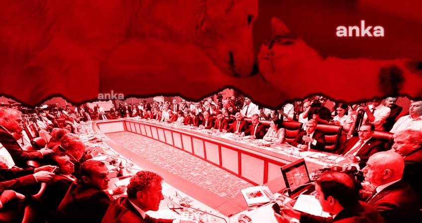 Kamuoyunda sokak hayvanlarına "ötanazi" yapılmasına yol açacak kanun olarak bilinen