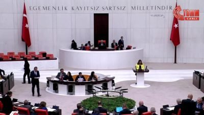 TBMM Genel Kurulu’nda İYİ Parti’nin ayçiçeği üreticisinin sorunlarıyla ilgili grup