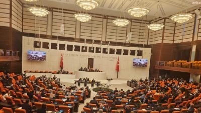 Sokak hayvanları ile ilgili düzenlemeler içeren ve kamuoyunda tepkilere neden