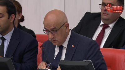 TBMM Genel Kurulu'nda, sokak hayvanlarına ilişkin düzenlemeler içeren kanun teklifinin
