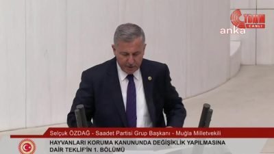 TBMM Genel Kurulu'nda, sokak hayvanlarına ilişkin düzenlemeler içeren kanun teklifinin