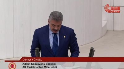 TBMM Genel Kurulu'nda sokak hayvanları kanununda değişiklik öngören ‘Hayvanları Koruma Kanunu’nda