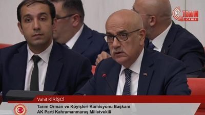 TBMM Genel Kurulu'nda, sokak hayvanlarına ilişkin düzenlemeler içeren kanun teklifinin