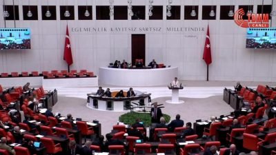 DEM Parti Diyarkakır Milletvekili Ceylan Akça Cupolo, TBMM Genel Kurulu'nda