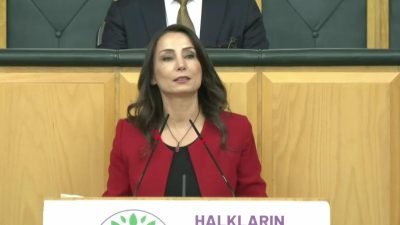 DEM Parti Eş Genel Başkanı Tülay Hatimoğulları, "20 Temmuz OHAL