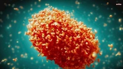 Dünya Sağlık Örgütü'nün (DSÖ) maymun çiçeği virüsünü ‘uluslararası bir sağlık acil