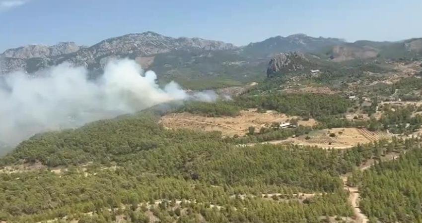 Antalya'nın Serik ilçesinde orman yangını çıktı. Orman Genel Müdürlüğü, yangına