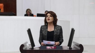CHP Mersin Milletvekili Gülcan Kış, bireysel kredi ve kredi kartı