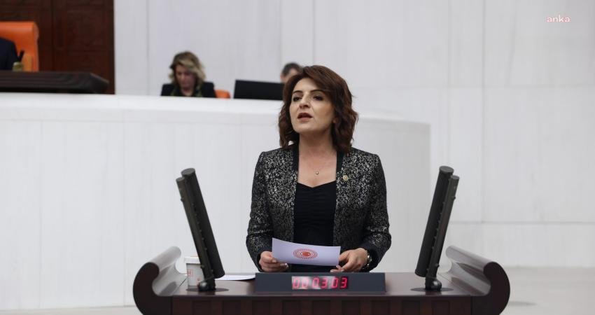 CHP Mersin Milletvekili Gülcan Kış, bireysel kredi ve kredi kartı