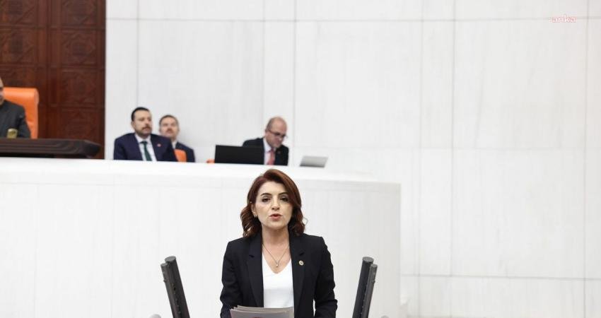 CHP Mersin Milletvekili Gülcan Kış, Çukurova Havalimanı’nın Cumhurbaşkanı Recep Tayyip