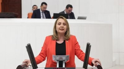 CHP Ankara Milletvekili Semra Dinçer, AK Parti iktidarının 2023 yılında