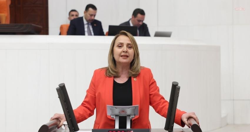CHP Ankara Milletvekili Semra Dinçer, AK Parti iktidarının 2023 yılında