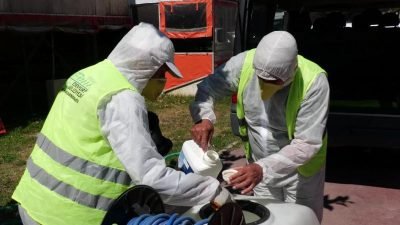 Esenyurt Belediyesi, ağaçların gövde ve dallarında oyuklar açarak ölmelerine neden