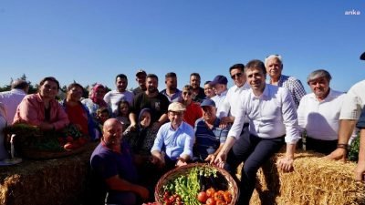 İstanbul Büyükşehir Belediyesi (İBB), son 4 yılda, tekilde 8 bin
