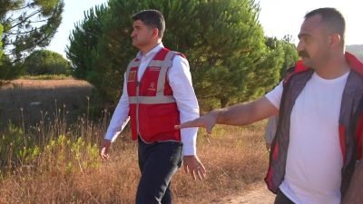 İstanbul'da sokak hayvanları için dev bir proje hayata geçirilmeye hazırlanılıyor.