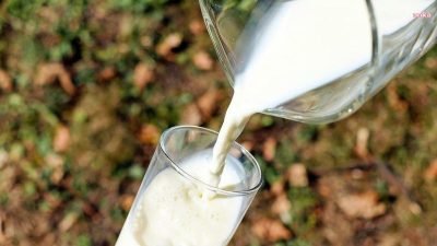 Türkiye İstatistik Kurumu (TÜİK) verilerine göre, ticari süt işletmelerince toplanan inek