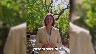 Üsküdar Belediye Başkanı Sinem Dedetaş, sokak hayvanlarına yönelik yeni projelerini