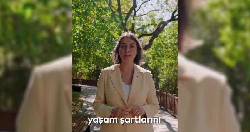 Üsküdar Belediye Başkanı Sinem Dedetaş, sokak hayvanlarına yönelik yeni projelerini