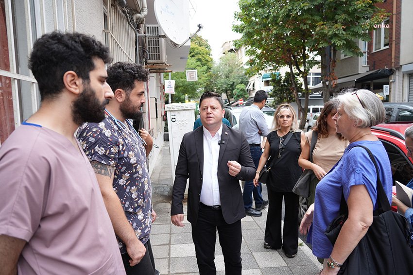 Kadıköy Fenerbahçe Mahallesi’nde vatandaşlar tarafından sokakta beslenen 18 kedi ve