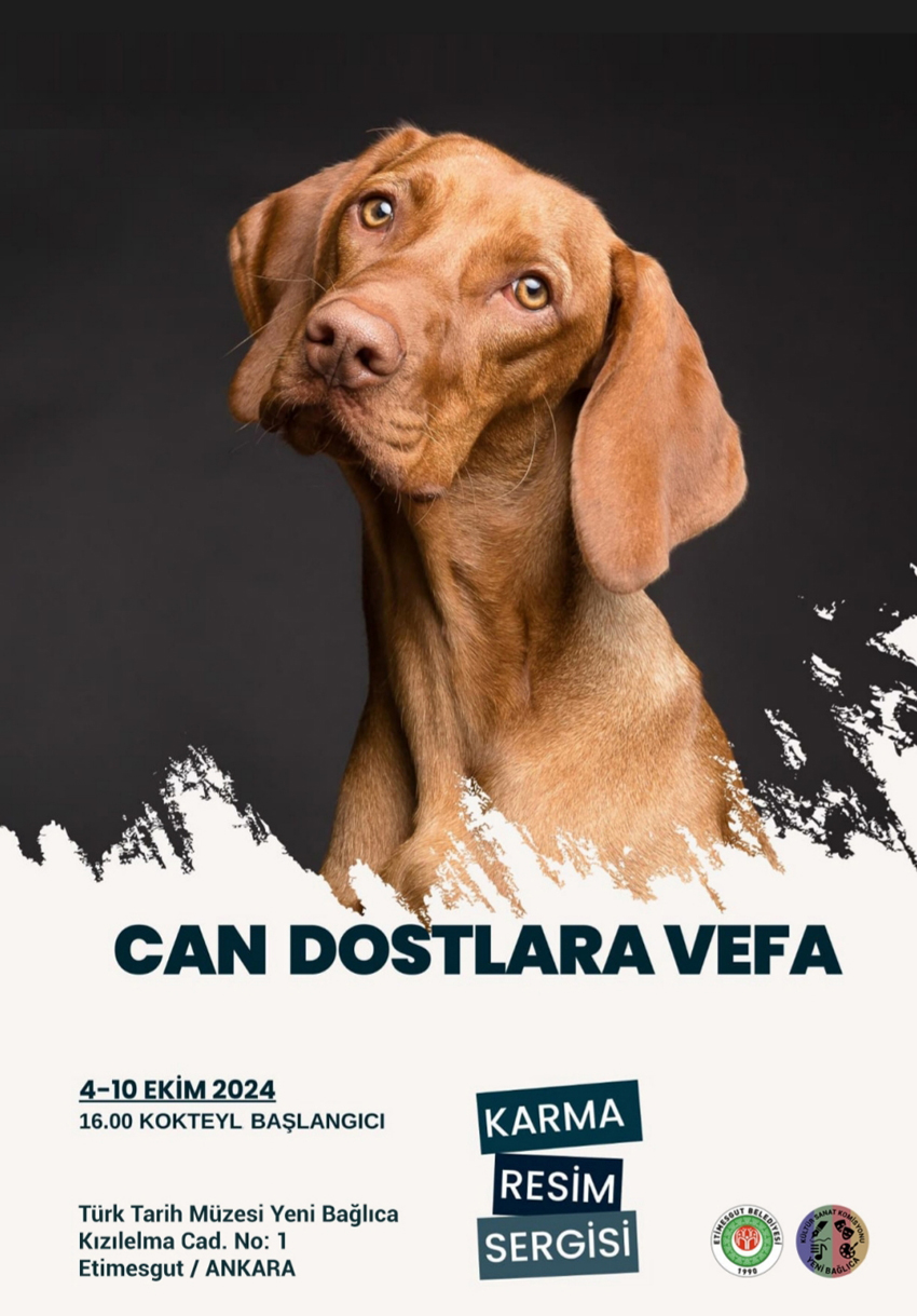 etimesgut-belediyesinden-can-dostlara-vefa-isimli-karma-resim-sergisi
