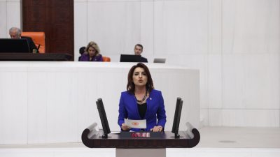 CHP Mersin Milletvekili Gülcan Kış, eğitim alanındaki krizlerin ekonomik çalkantılar