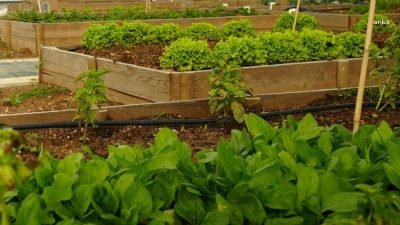 Ataşehir Belediyesi, iklim krizine karşı toplumsal bilinç oluşturmak ve şehir