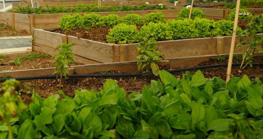 Ataşehir Belediyesi, iklim krizine karşı toplumsal bilinç oluşturmak ve şehir