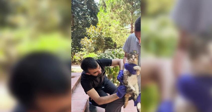 Beykoz Belediyesi, Beykoz’daki sahipsiz sokak hayvanlarının doğal ortamlarında sağlıklı yaşaması