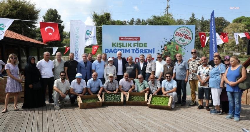 Beykoz Belediyesi, çiftçiye söz verilen 500 bin ücretsiz kışlık fide