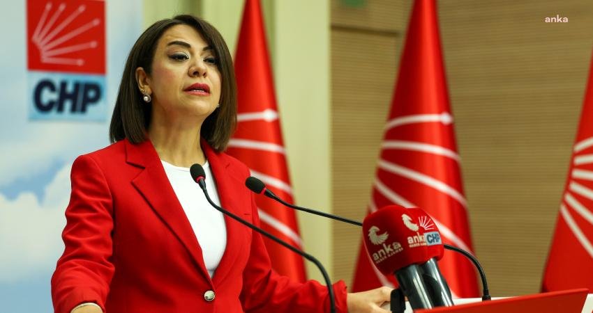 CHP Genel Başkan Yardımcısı Gamze Şengel Taşcıer, TÜİK’in ağustos ayı