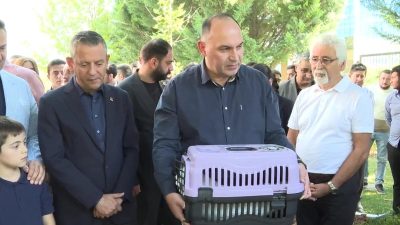 CHP Genel Merkezi'nin inşaatında dünyaya gelen ve 20 yıldır Genel