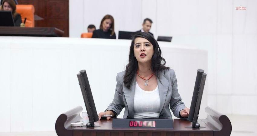 Emek Partisi (EMEP) Gaziantep Milletvekili Sevda Karaca, Milli Eğitim Bakanı