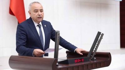 TBMM Plan ve Bütçe Komisyonu Üyesi, CHP Manisa Milletvekili Ahmet