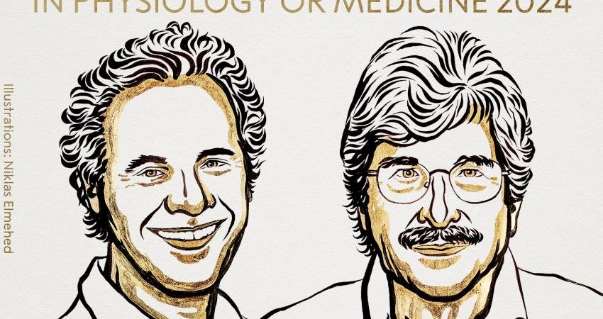 2024 Nobel Tıp Ödülü’ne “mikroRNA’nın keşfi ve gen düzenlemesi” çalışmalarından