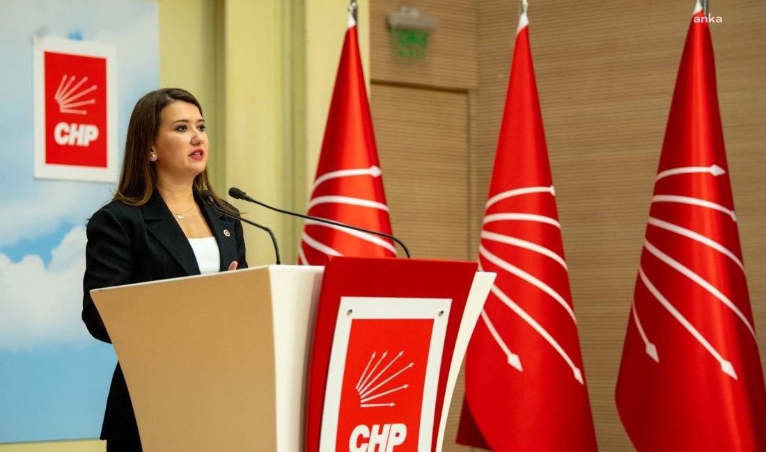 CHP Genel Başkan Yardımcısı Gökçe Gökçen, Esenyurt Belediye Başkanı Ahmet