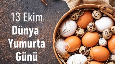 Türk veteriner Hekimleri Birliği (TVHB) Bu yıl 11 Ekim tarihinde