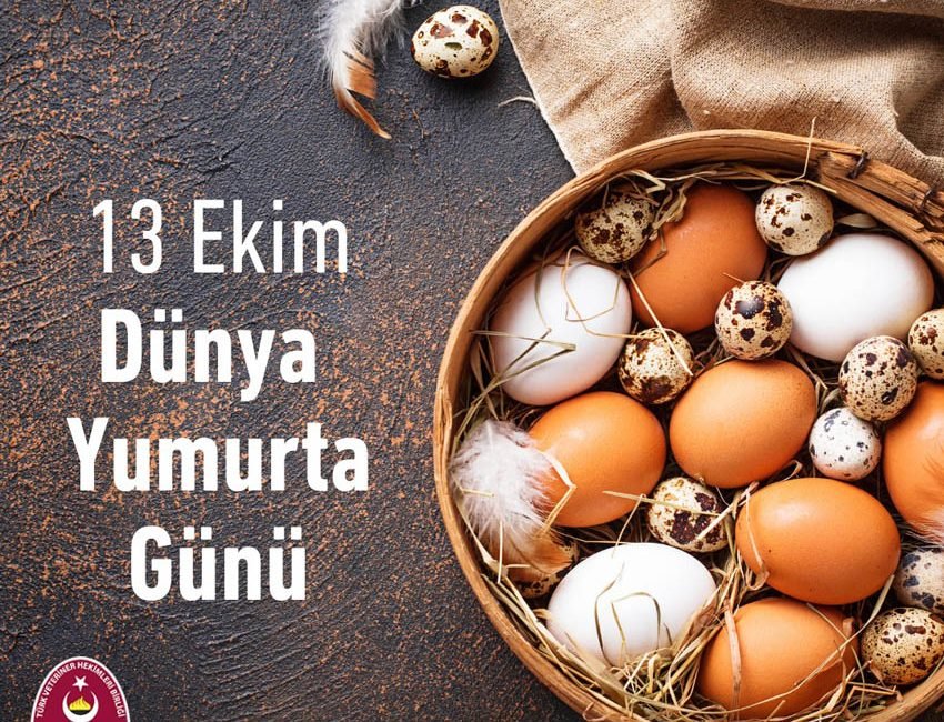Türk veteriner Hekimleri Birliği (TVHB) Bu yıl 11 Ekim tarihinde