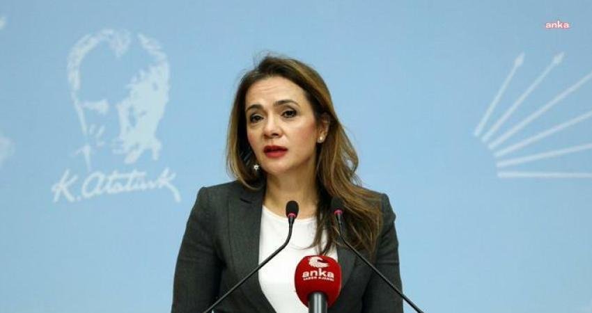 CHP İstanbul Milletvekili Gamze Akkuş İlgezdi, Yardımcı Hizmetler Sınıfı'nda çalışan