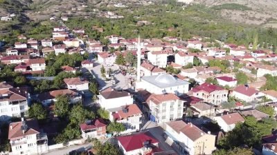 Amasya’da yaklaşık üç ay önce hasadı yapılan kiraz ağaçlarının,  mevsim