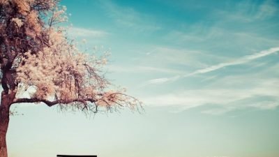 Şuna şaşırmamak elde değil ! Bir ülke bu kadar mı