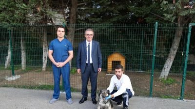 Bayrampaşa Belediye Başkanı Hasan Mutlu, ilçedeki barınaktan köpek sahiplendi. Sahiplendiği