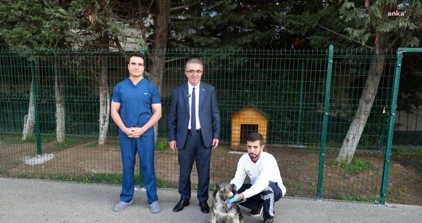 Bayrampaşa Belediye Başkanı Hasan Mutlu, ilçedeki barınaktan köpek sahiplendi. Sahiplendiği