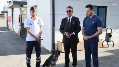 İstanbul Bayrampaşa Belediye Başkanı Hasan Mutlu, 4 Ekim Hayvanları Koruma